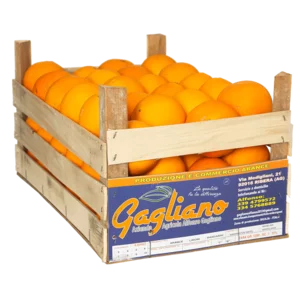 Arance Washington Navel calibro 2, Fioroni, cassetta 10kg Online Ora